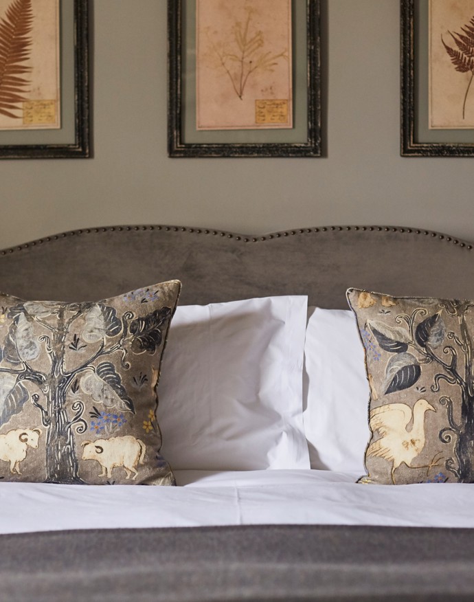 Comfy Rooms
